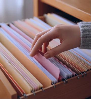 Challenging document retrieval - MSB DOCS
